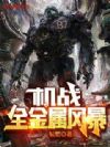 机战:全金属风暴